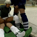 Ambassadors of the ice