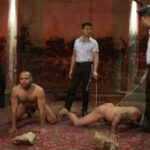 The Reunion - Live Shoot