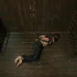 Adam Herst  ,Brandon Moore