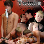 BDSM Twinks
