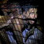 Welcome, Ya Filthy Animal 1080p