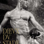 Les Dieux du Stade 2013