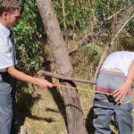 British Boys Fetish Club Discipline Tales Vol 207