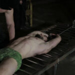 Bearded Pow - Part II