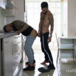 Hardkinks Face fuck and sodomy for mainly bottom