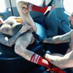 Fist Bus 2, Scene #03 (Drew Sebastian, Julian Torres)