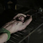 Bearded POW - Part II