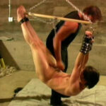 The Extreme Boyz Chronicles Vol.5