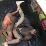 Sadistic Parole Gives Creepy Coworker a Brutal Lesson