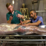 Doctor's Anal Orders: Blaze Austin edged, pumped, and stretched