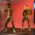 Gay - 10 Plus Volume Scn.1