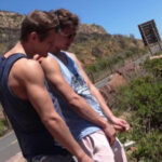 Bel ami postcards from cape town