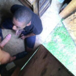 HarlemHookups - The Cum Dump Shed