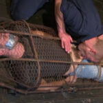 Adam Herst, Colt Rivers - Helpless and caged like an animal